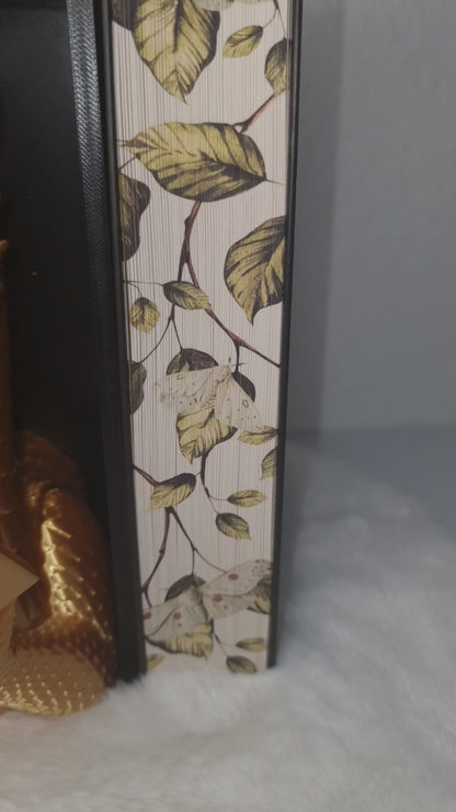 Book Nook Flame Dragon / Lesender Flammendrache
