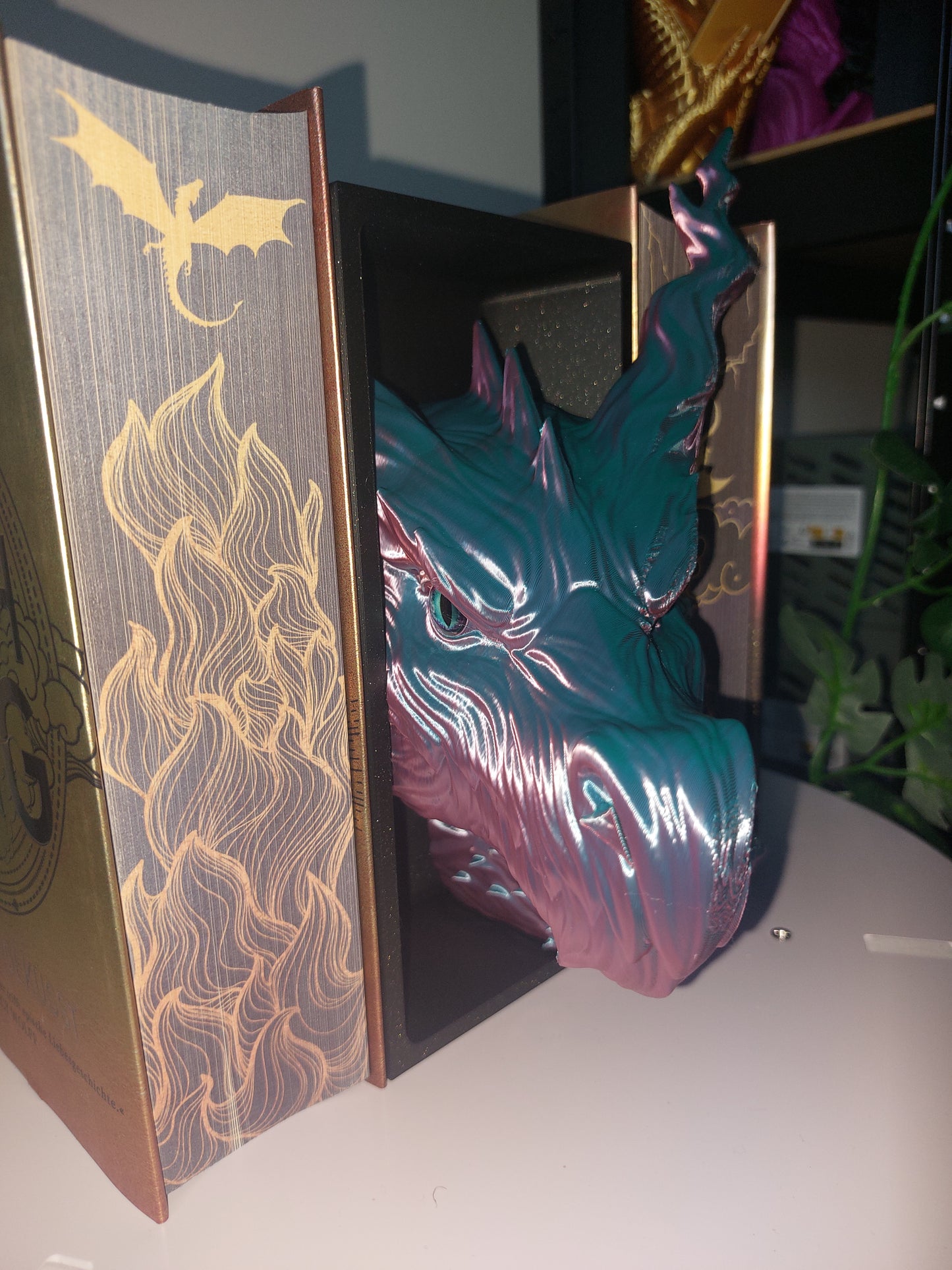 Drachen Book Nook Shadow